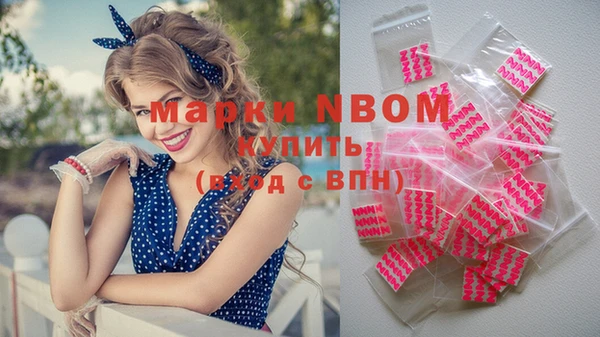 мдпв Абаза