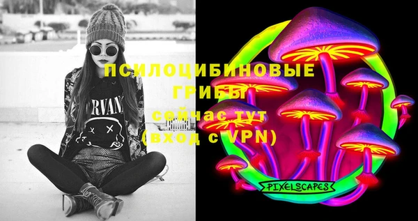 мдпв Абаза